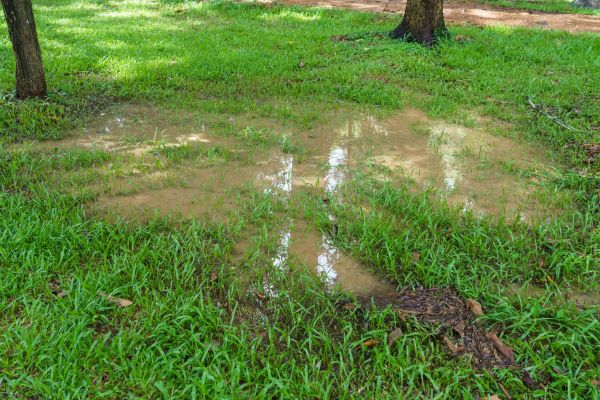 Storm Water Drainage Service in Hickory