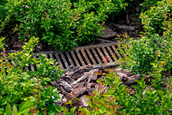Underground Drainage Service in Hickory