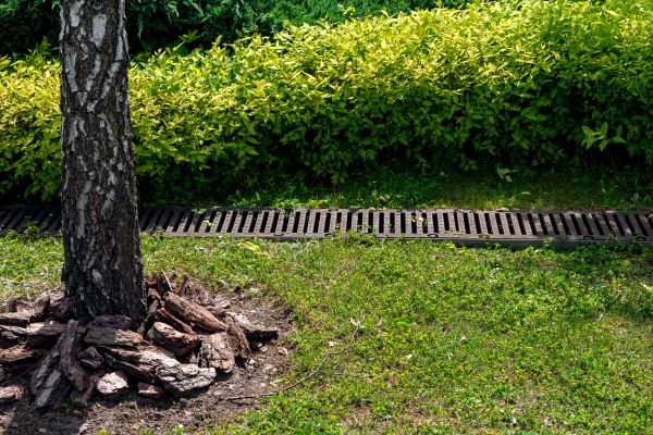 Wet Yard Drainage in Hickory