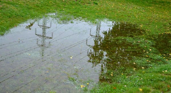 Standing Water Drainage in Hickory