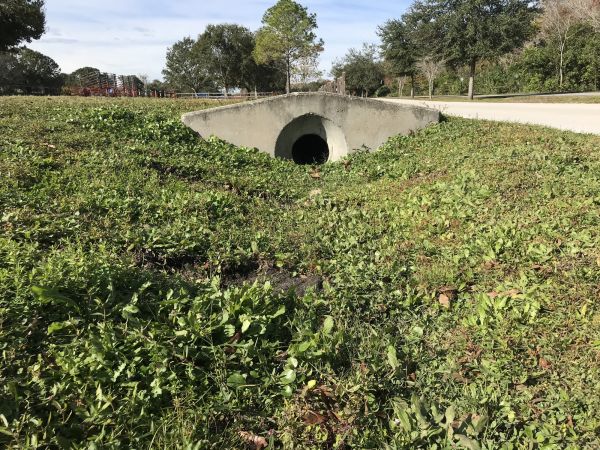 Cost of Swale Drainage Service in Hickory